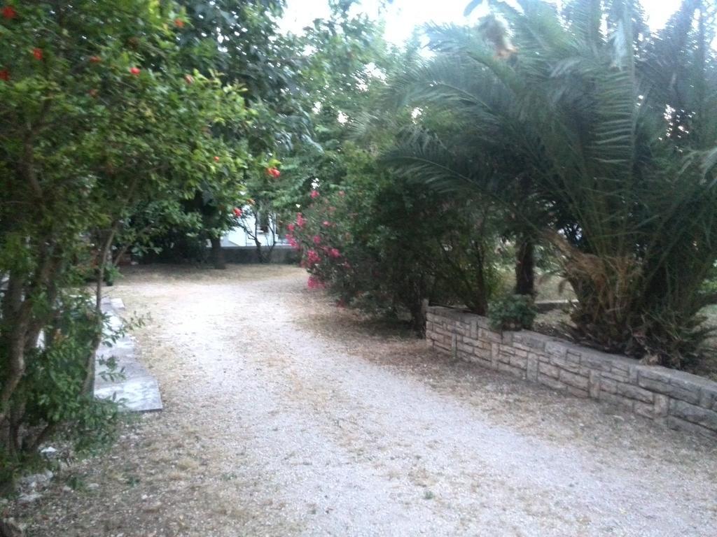Lägenhet Tome Biograd Na Moru